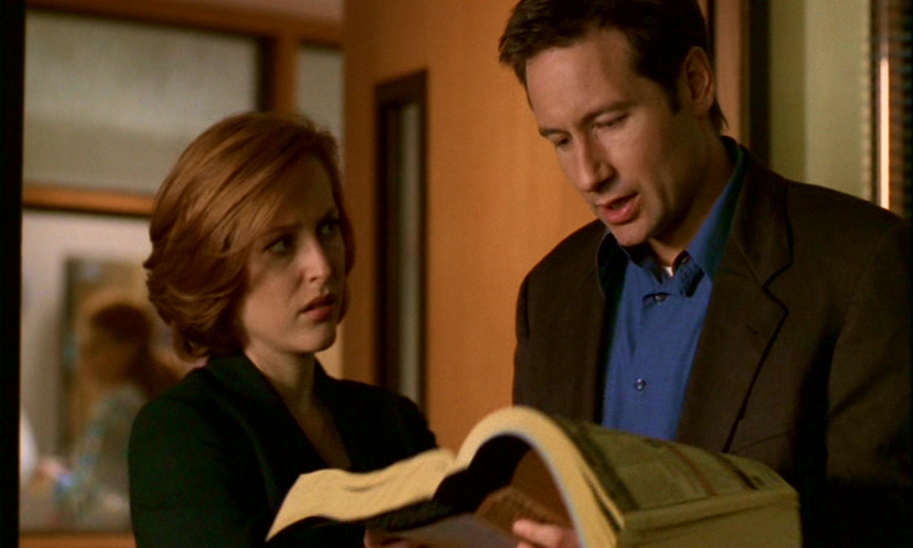 gillian anderson as dana scully sceptic david duchovny as fox mulder x-files