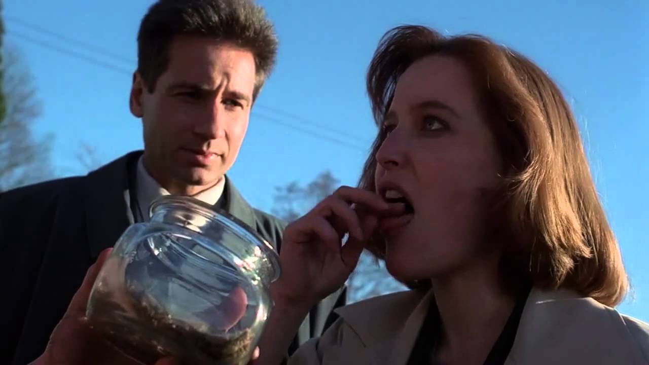 dana scully eating cricket fox mulder x-files humbug
