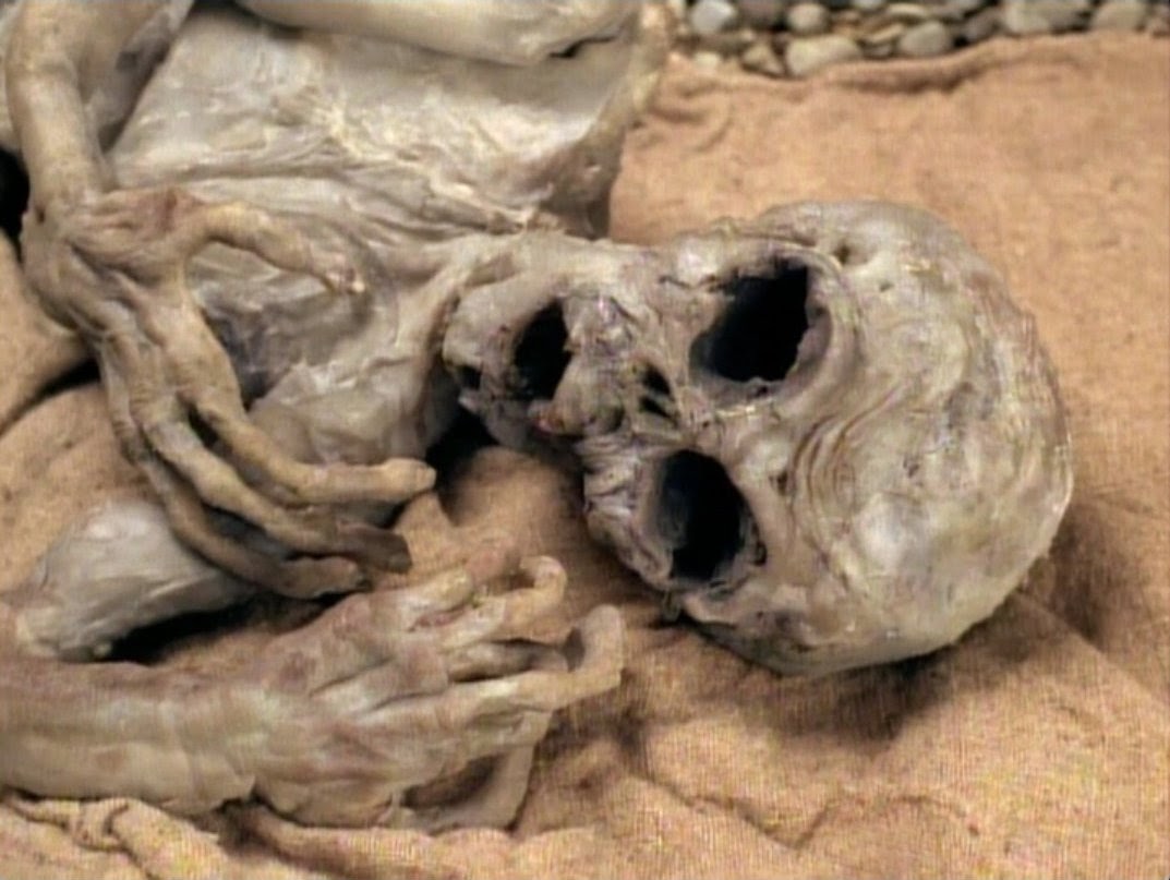 the corpse of the extraterrestrial biological entity alien x-files