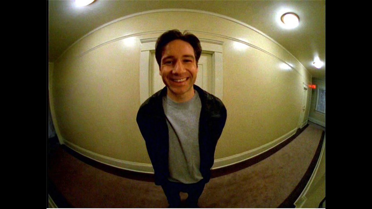 david duchovny as fox mulder small potatoes x-files