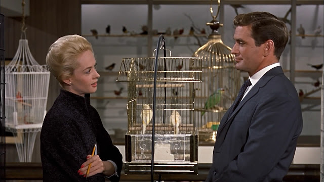 Tippi Hedren & Rod Taylor - The Birds (1963)