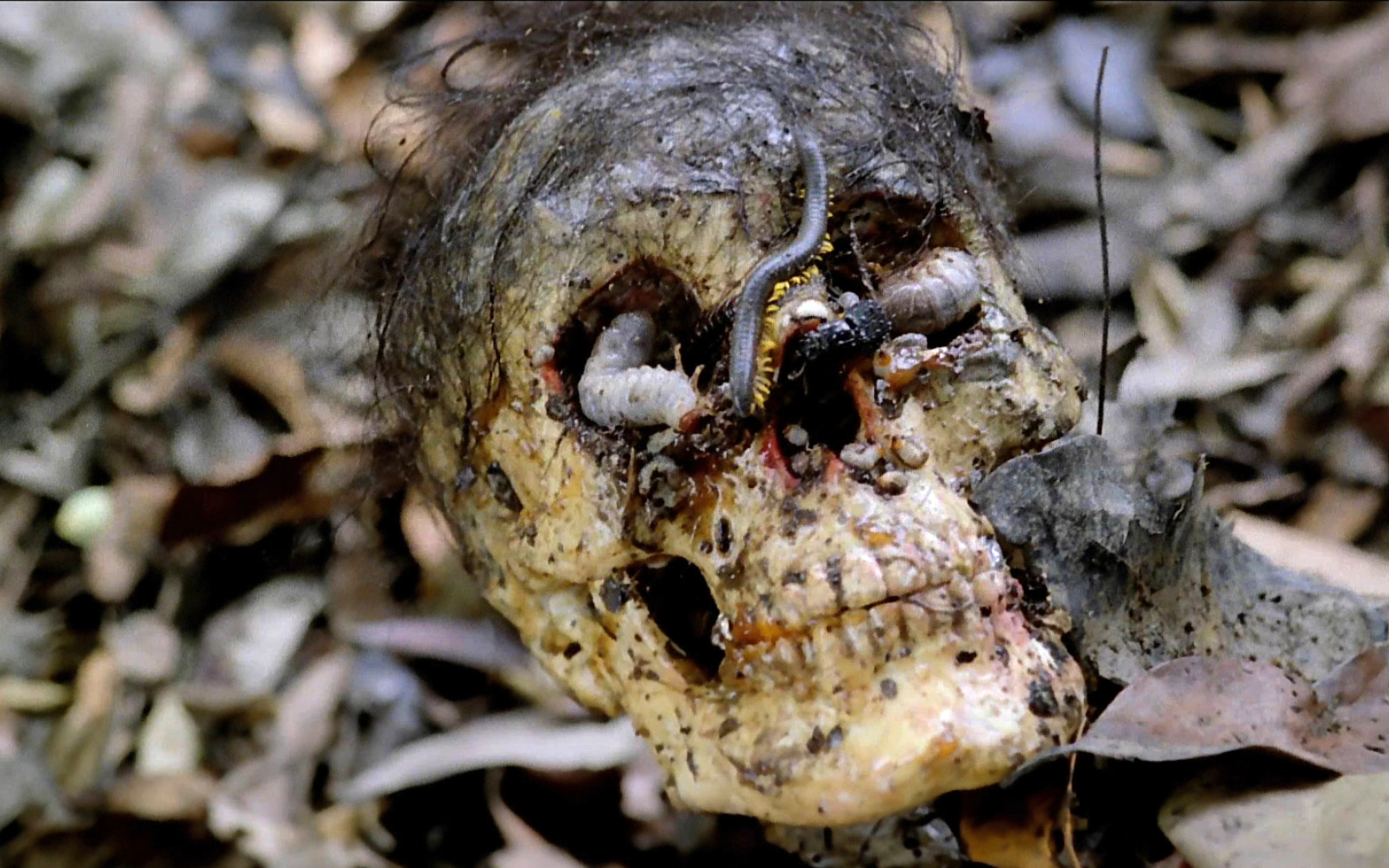 CANNIBAL HOLOCAUST