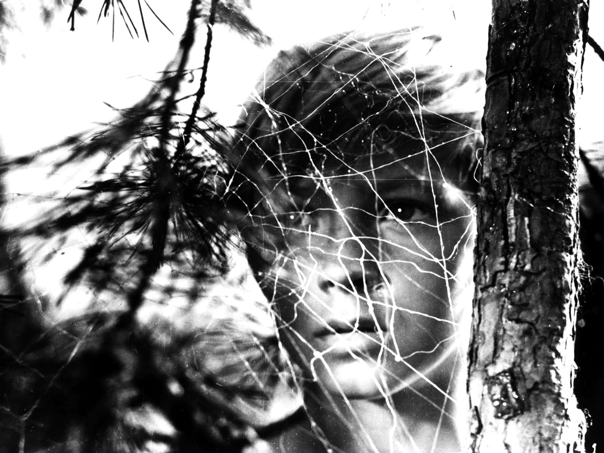 Ivan's Childhood Andrei Tarkovsky