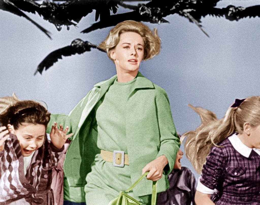 The Birds tippi hedren