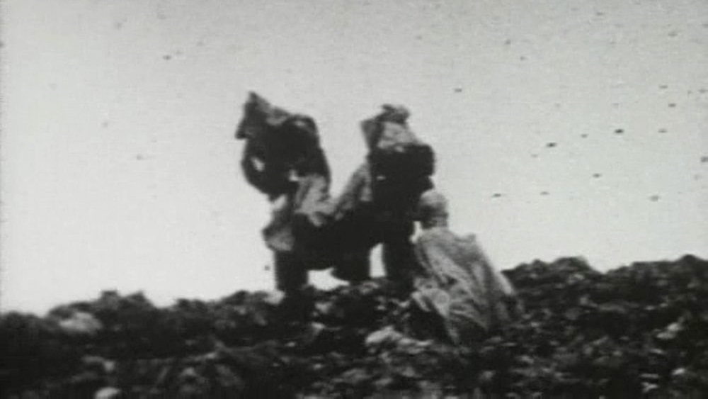 begotten