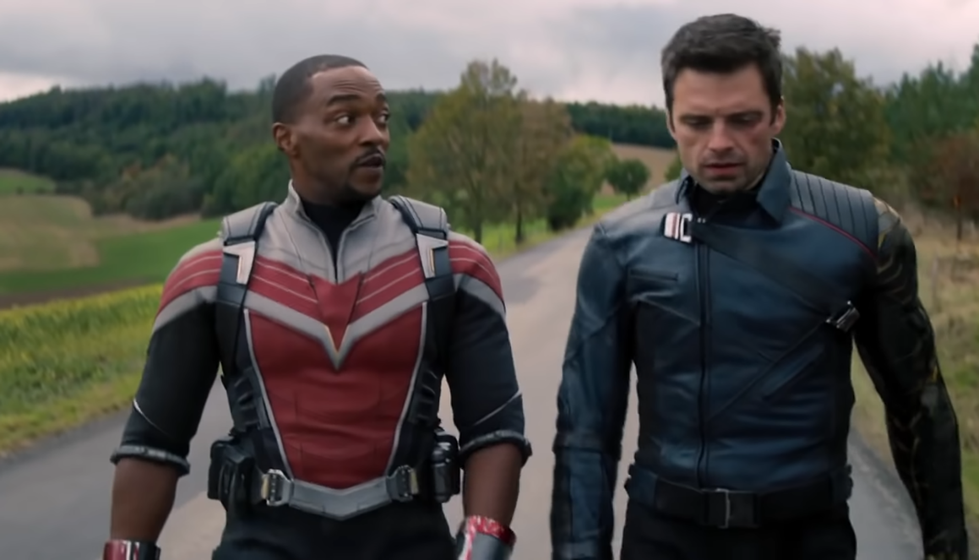 The Falcon and the Winter Soldier