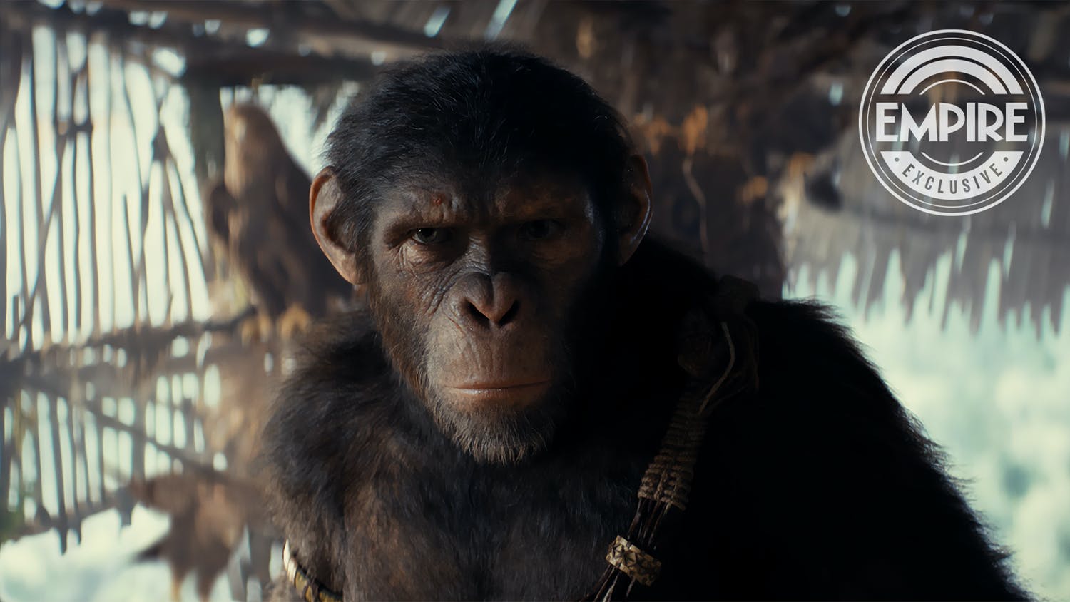 kingdom of the planet of the apes