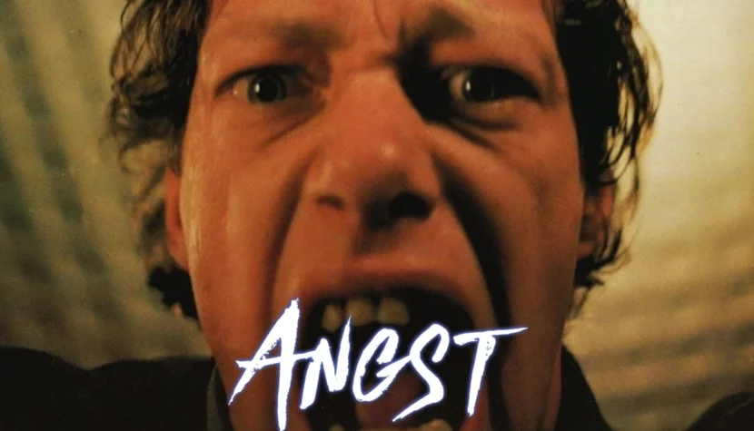 ANGST. A Psychopath Simulator of a Movie Explained