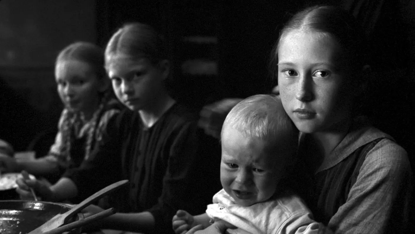 The White Ribbon Das weiße Band - Eine deutsche Kindergeschichte Bianca Mey, Mika Ahrens, Kristina Kneppek, Stephanie Amarell