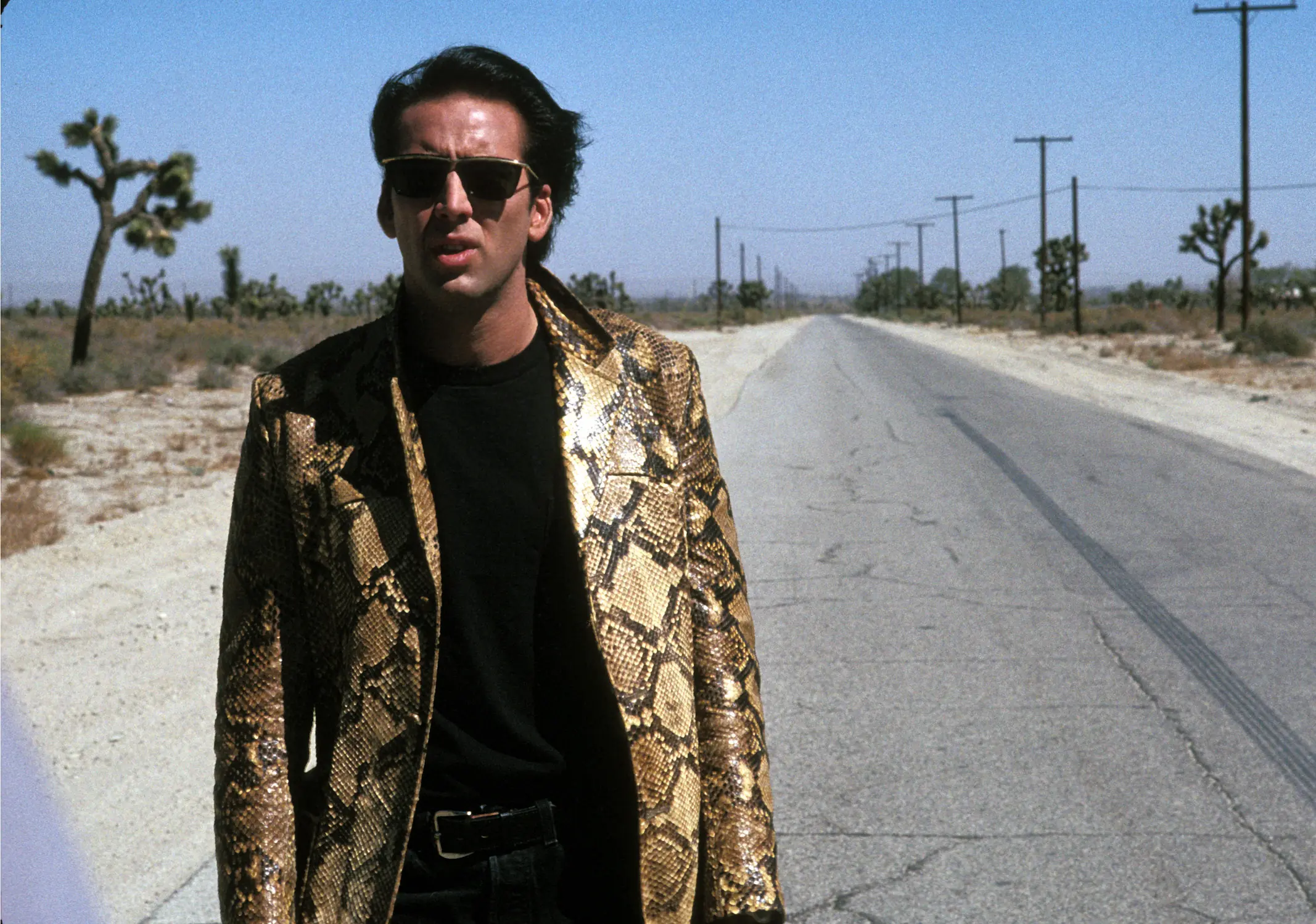 Wild at Heart, Nicolas Cage