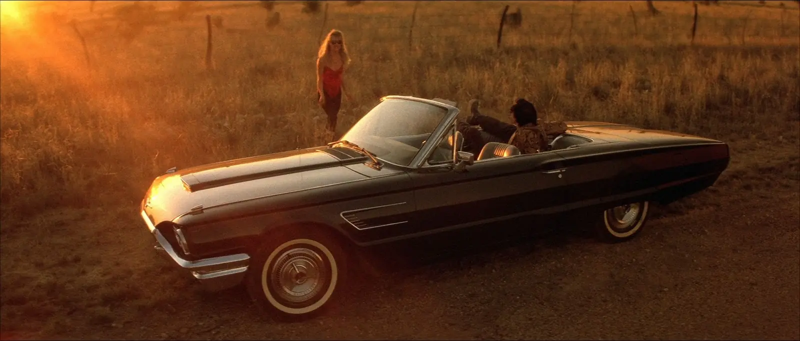 Wild at Heart, Nicolas Cage, Laura Dern