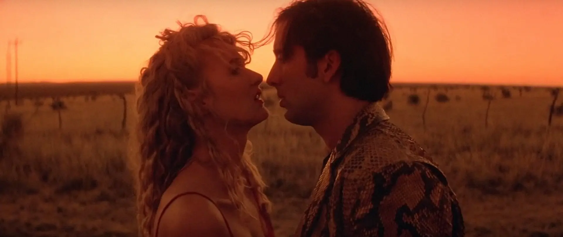 Wild at Heart, Nicolas Cage, Laura Dern