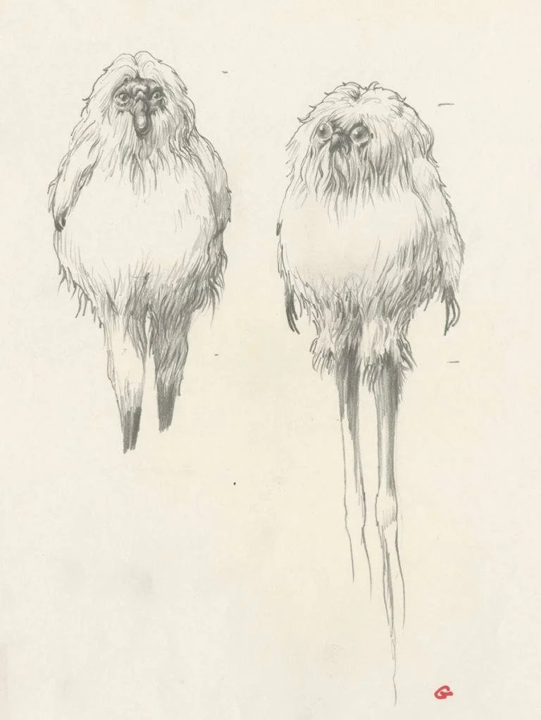 ewoks