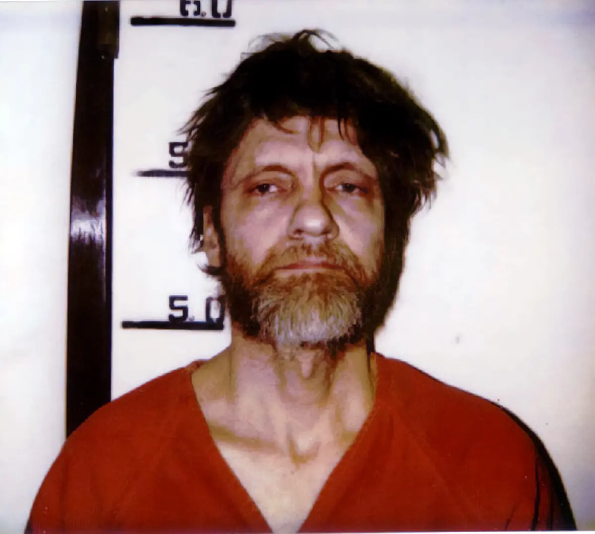 Ted Kaczynski, Unabomber