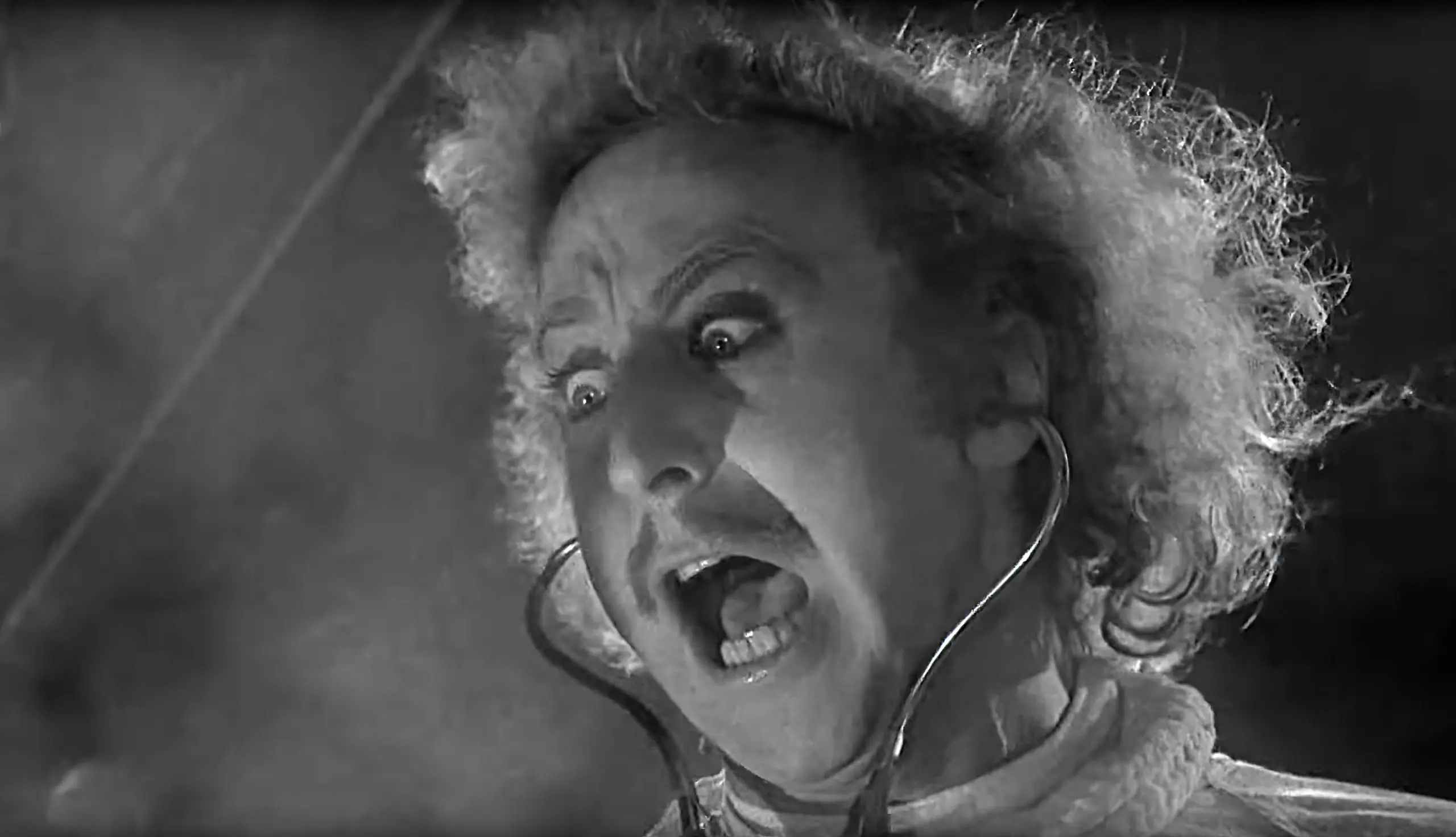 Young Frankenstein, Gene Wilder