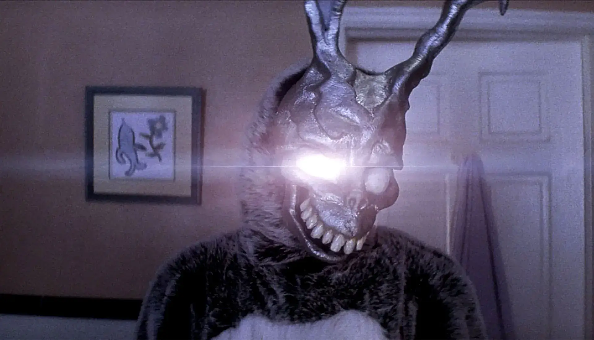 Donnie Darko, James Duval