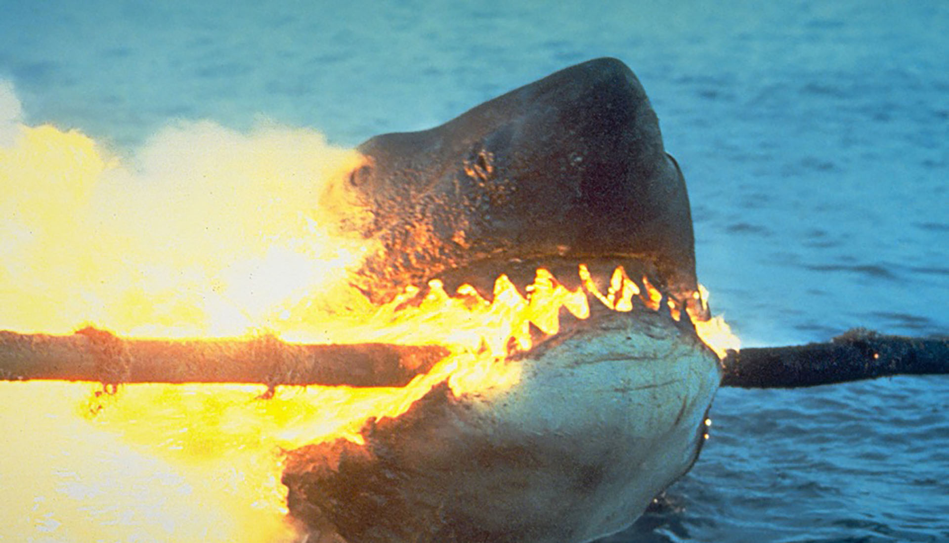 sequels jaws 2