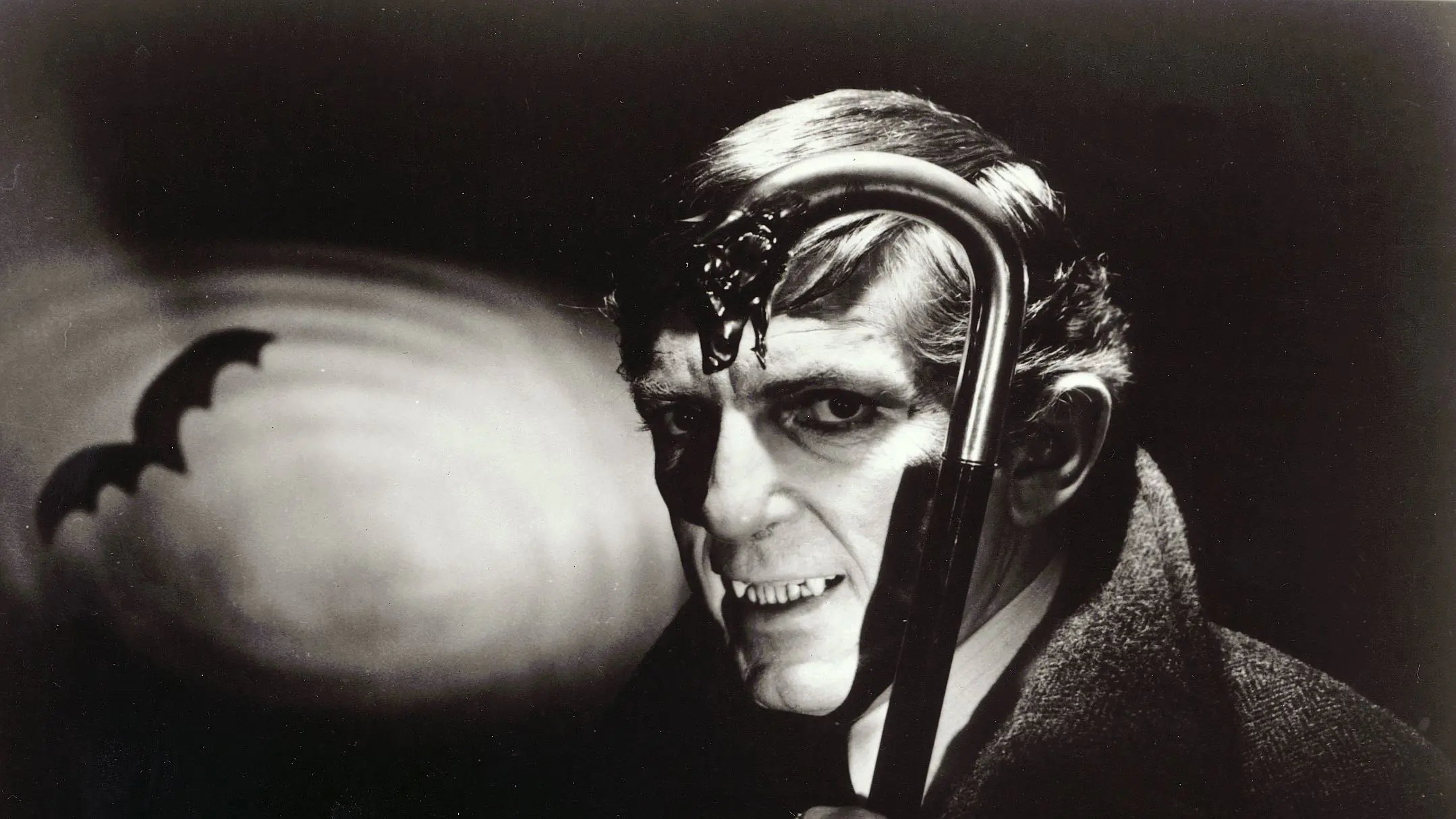DARK SHADOWS