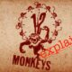 12 monkeys explained