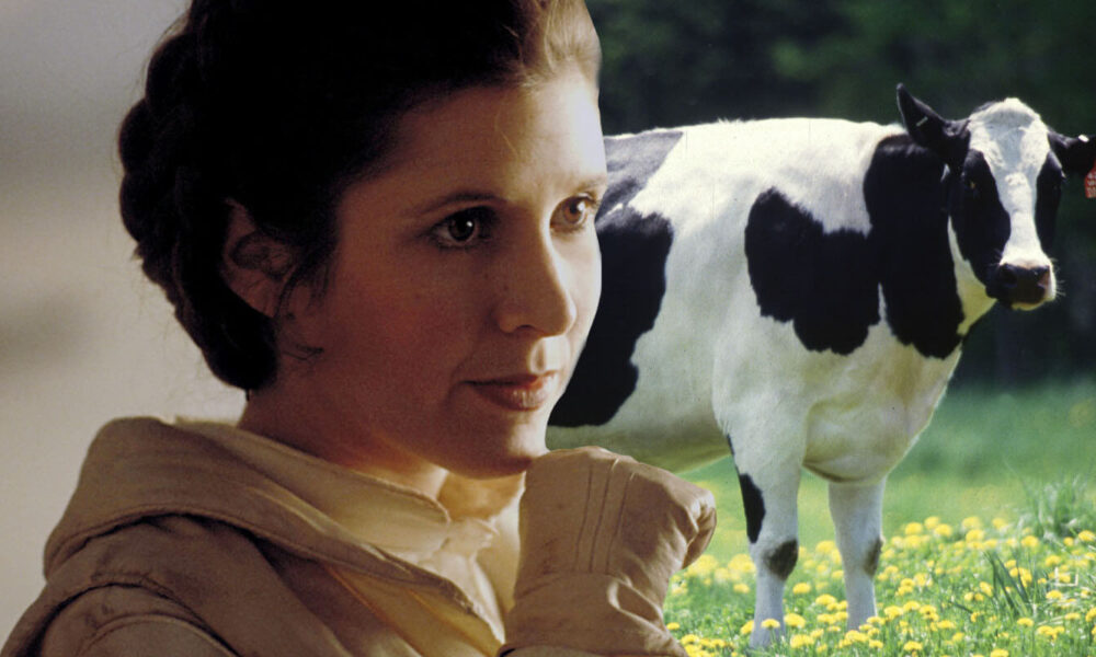 8 Things You Didn't Know About 80s Stars