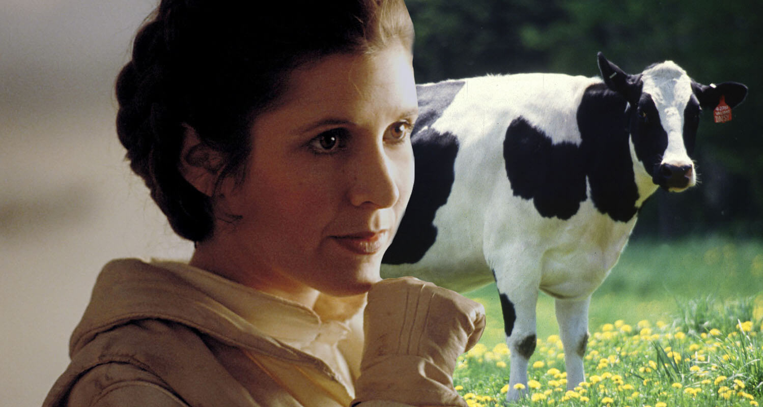 8 Things You Didn't Know About 80s Stars