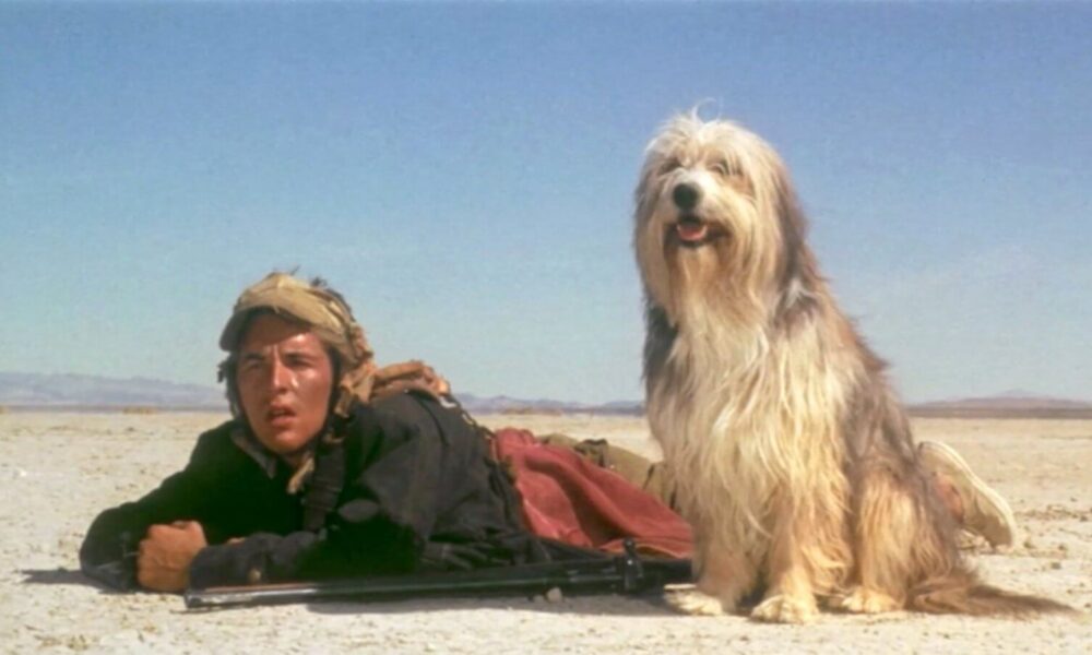 A BOY AND HIS DOG. Politically Incorrect Apocalypse