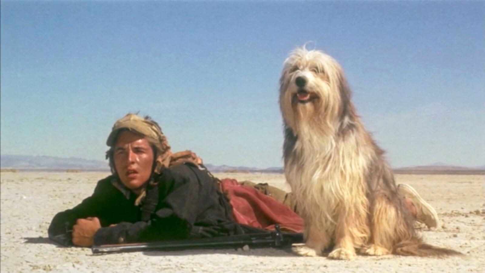 A BOY AND HIS DOG. Politically Incorrect Apocalypse