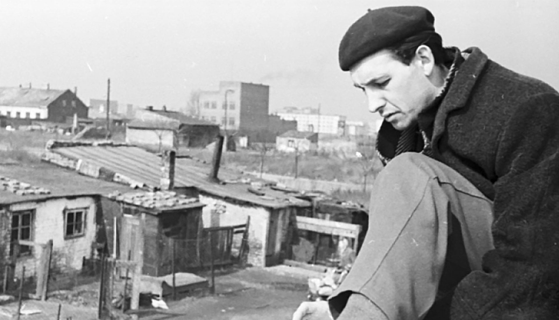 A Generation Pokolenie