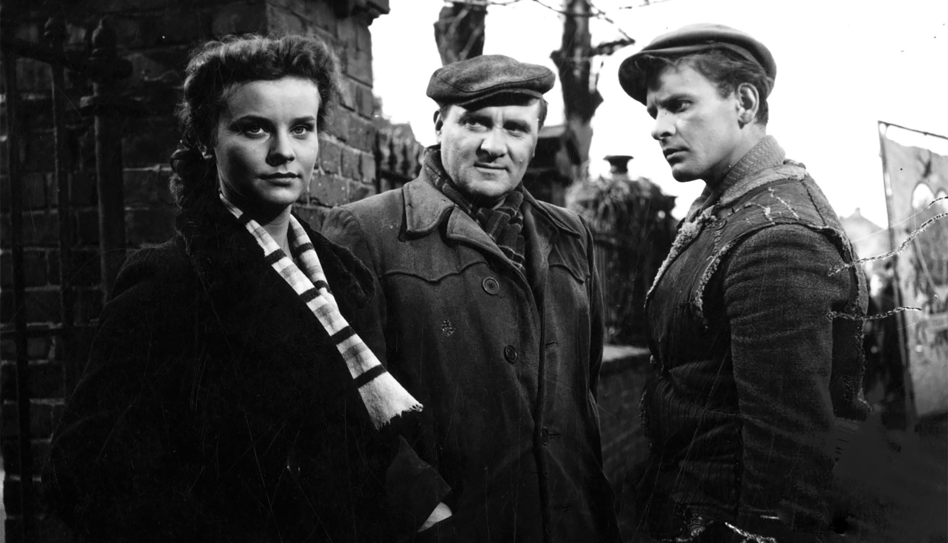 A Generation Pokolenie