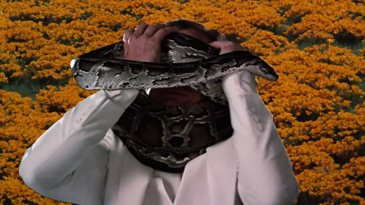 Altered states