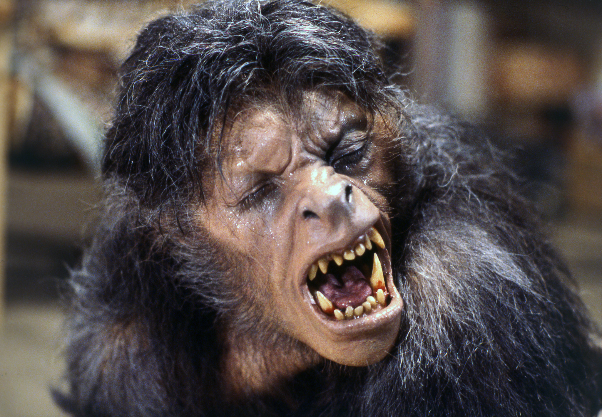 An American Werewolf in London David Naughton