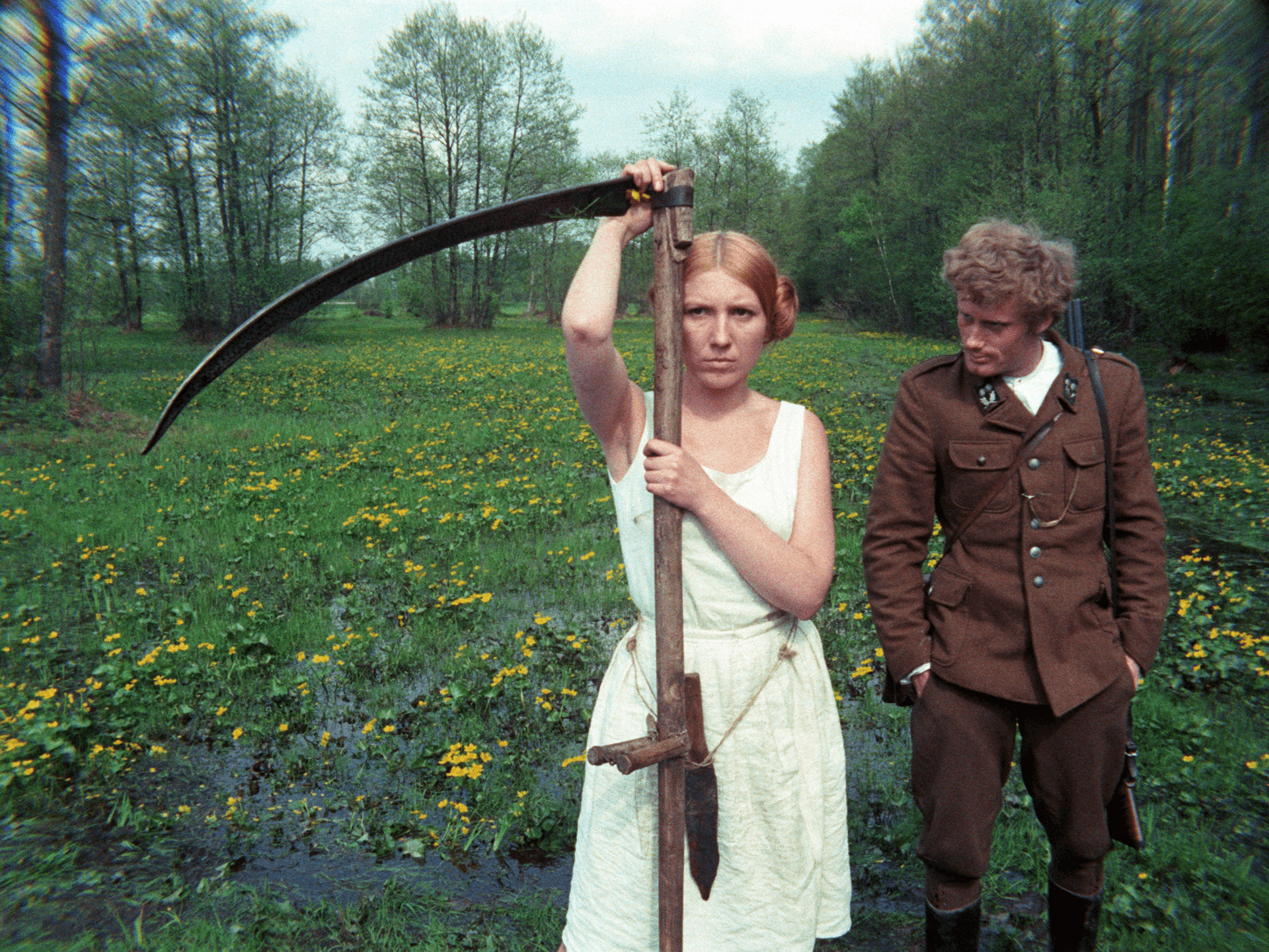 The Birch Wood (1970)