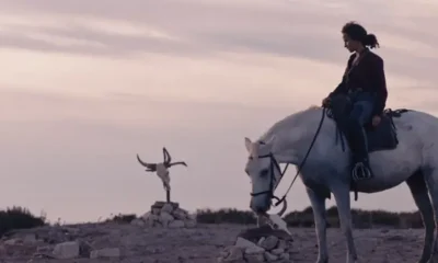 ANIMALE: The Raging Bull of Camargue [REVIEW]