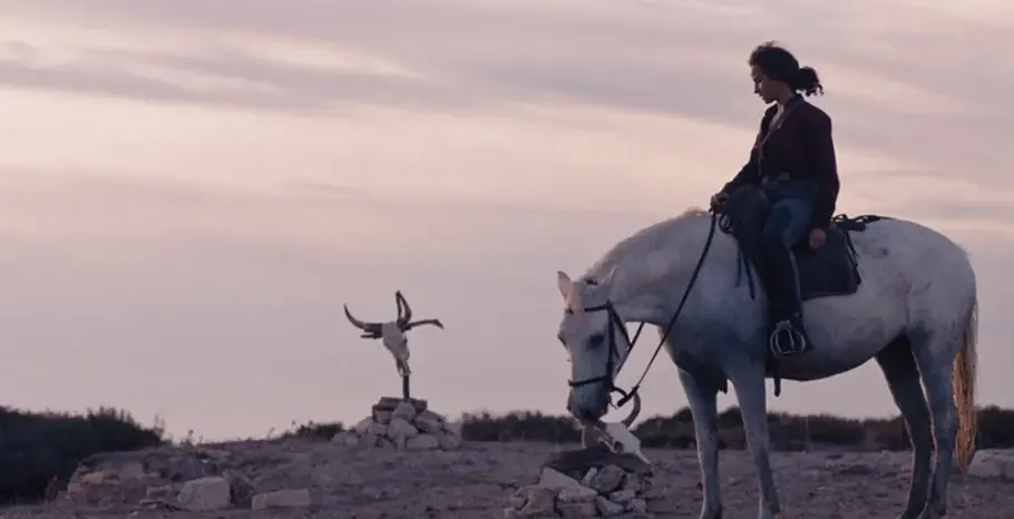 ANIMALE: The Raging Bull of Camargue [REVIEW]