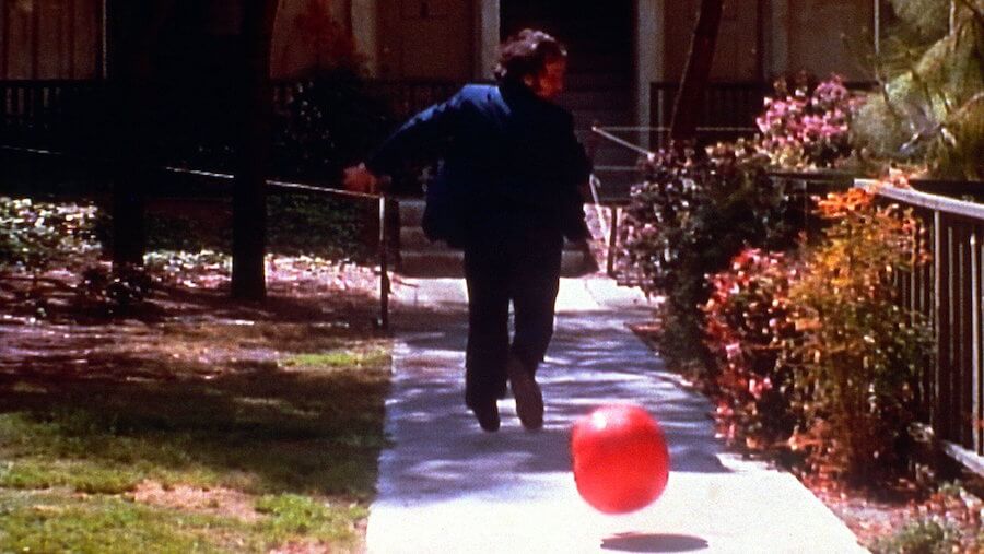 attack of the killer tomatoes
