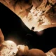 BATMAN BEGINS: No More Children’s Stories