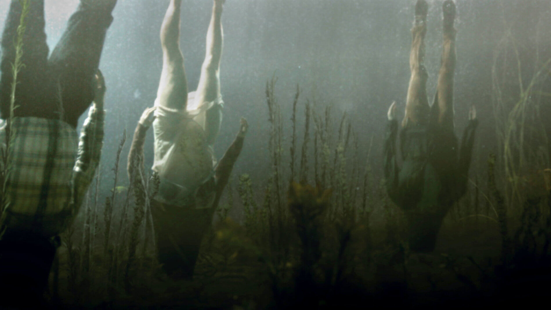 Borgman
