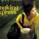 CHUNGKING EXPRESS Decrypted: Alienation In The Urban Jungle