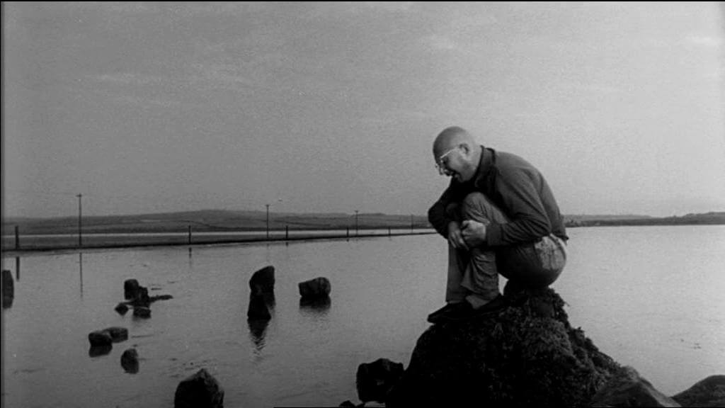 Cul-de-sac Donald Pleasence