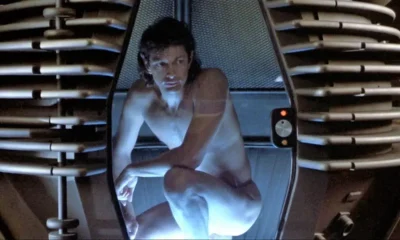 the fly