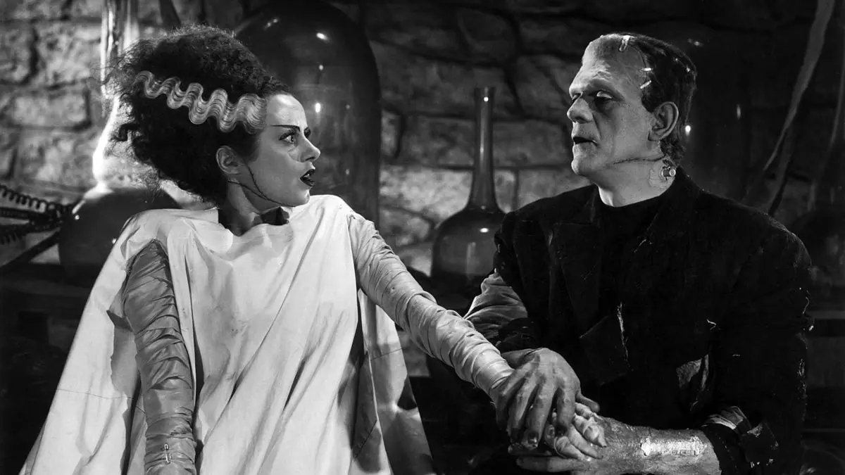 FRANKENSTEIN & The Bride of Frankenstein Explained