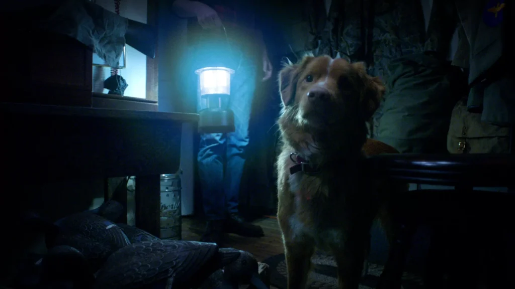 GOOD BOY. The Dog Who Rode to a Haunted House [REVIEW] horror