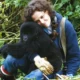 gorillas in the mist