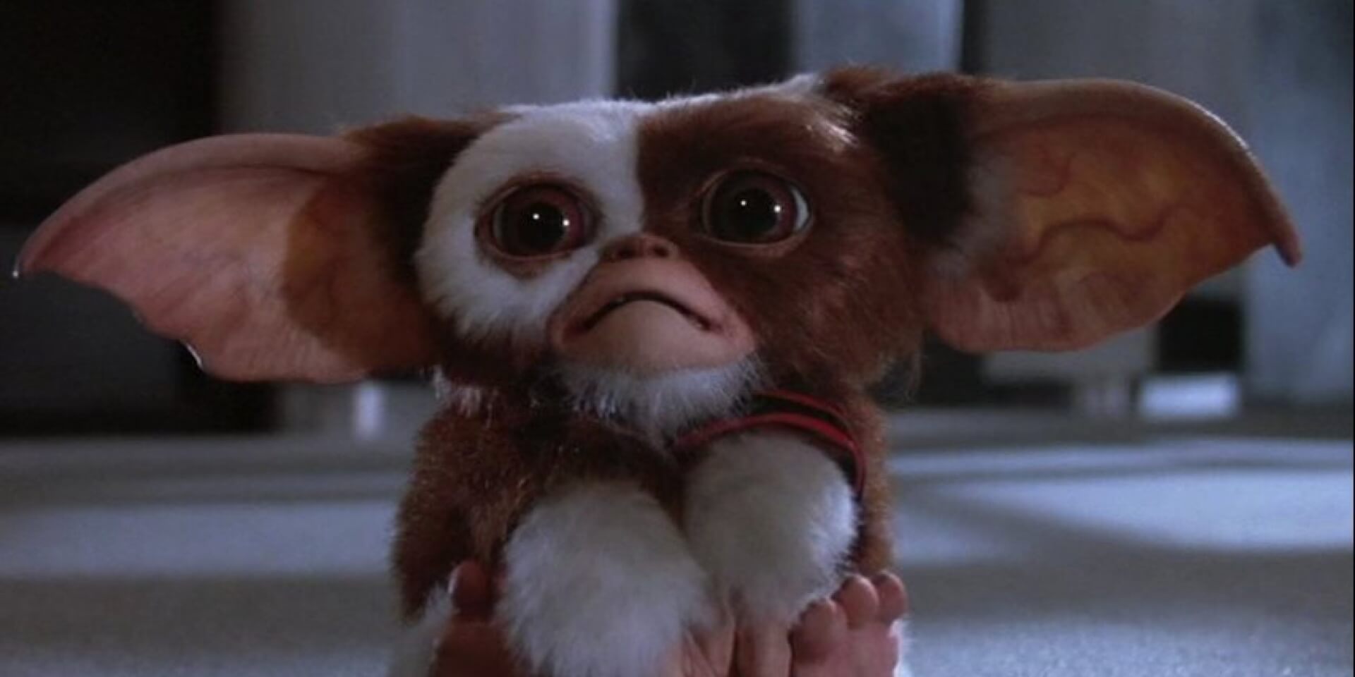 gremlins mogwai gizmo