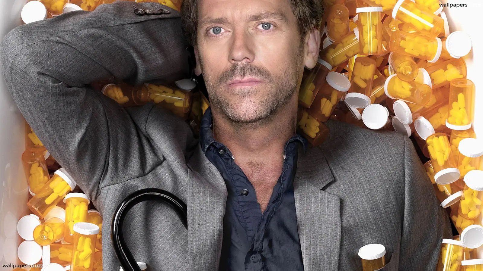 House M.D., Hugh Laurie