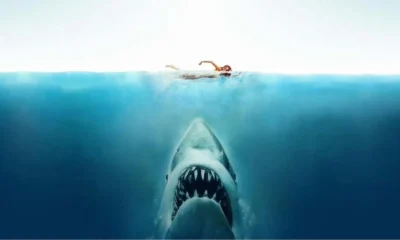JAWS Deciphered: Behind the Scenes of Spielberg’s Hit