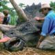 JURASSIC PARK. 30 years since the premiere of Spielberg's hit