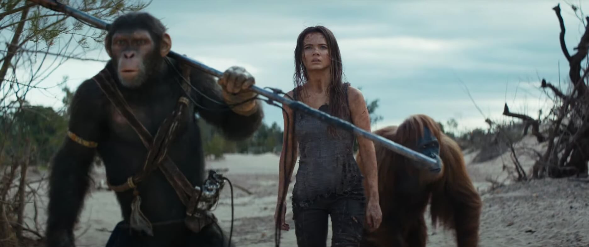 KINGDOM OF THE PLANET OF THE APES. Profaning Caesar's Legacy and Monkey (R)evolution. [REVIEW]