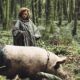 LOBSTER. Lanthimos is playing with absurdity
