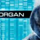 MORGAN. Science fiction debut of Ridley Scott's son
